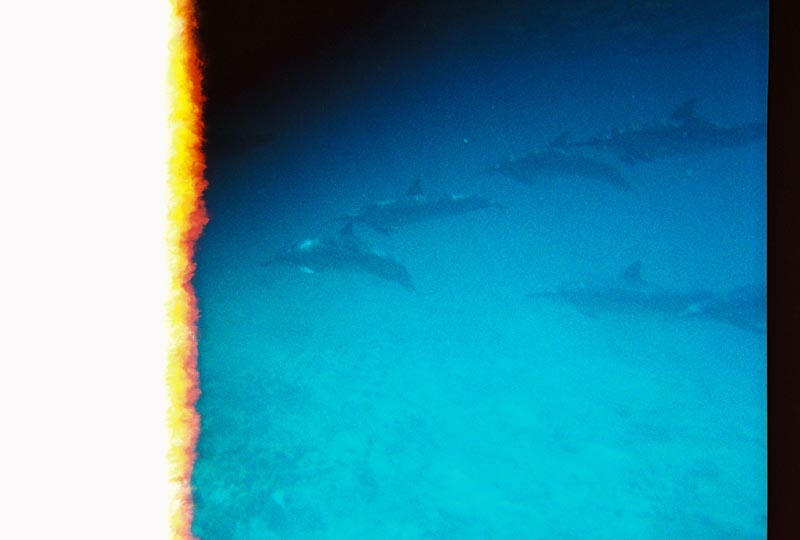 IMG_5574_0128504-R1-002-00A