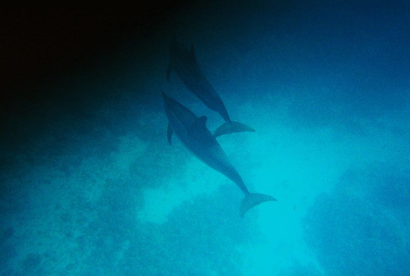 IMG_5574_0128504-R1-012-4A