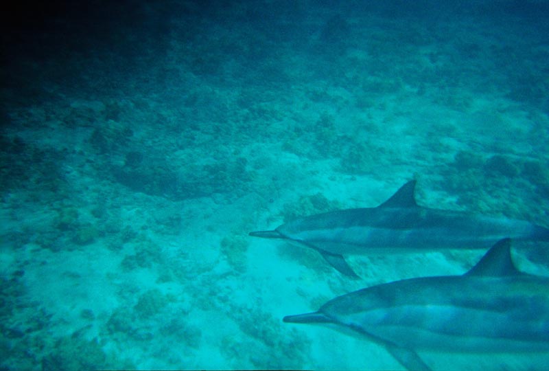 IMG_5574_0128504-R1-032-14A