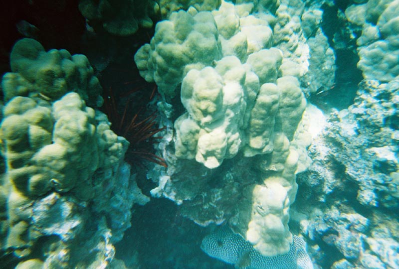 IMG_5618_0128506-R1-018-7A