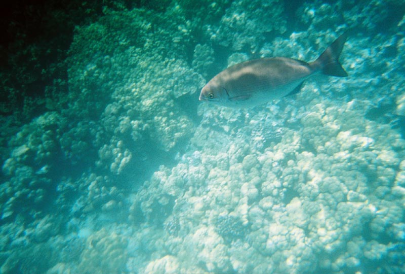 IMG_5618_0128506-R1-028-12A