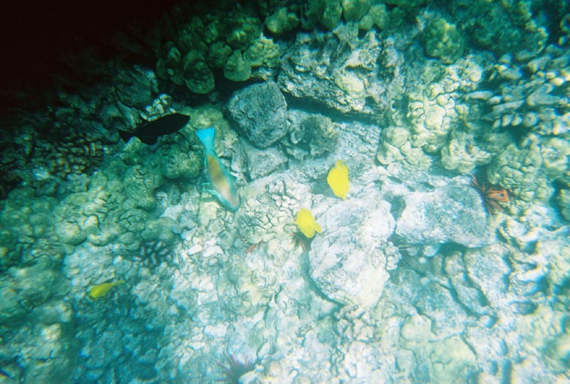 IMG_5618_0128506-R1-034-15A